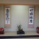 DSC08684.JPG