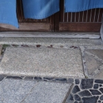 DSC04855.JPG